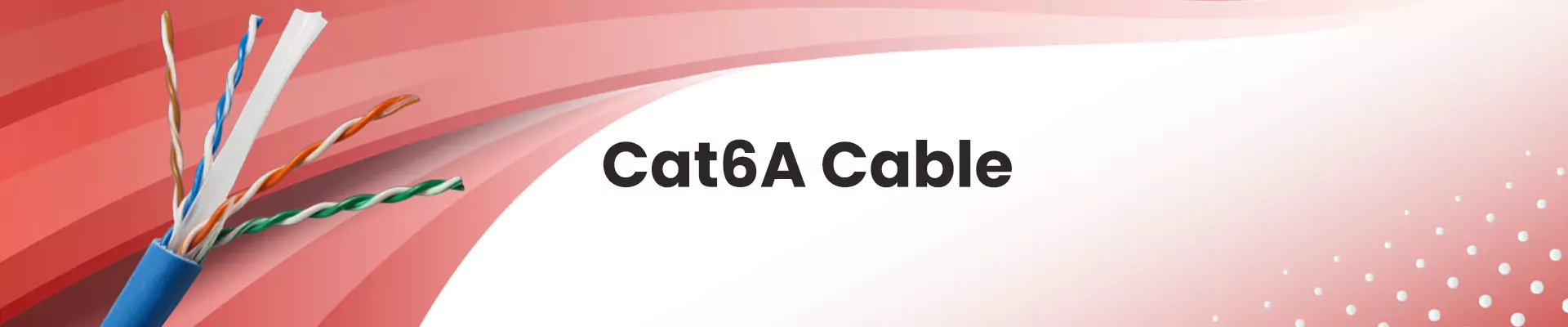 Cat6A
 Cable 