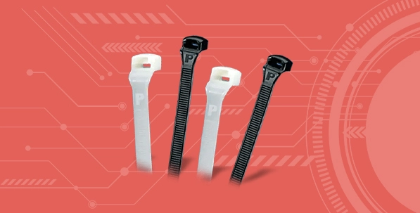 Panduit supplier in Dubai-uae